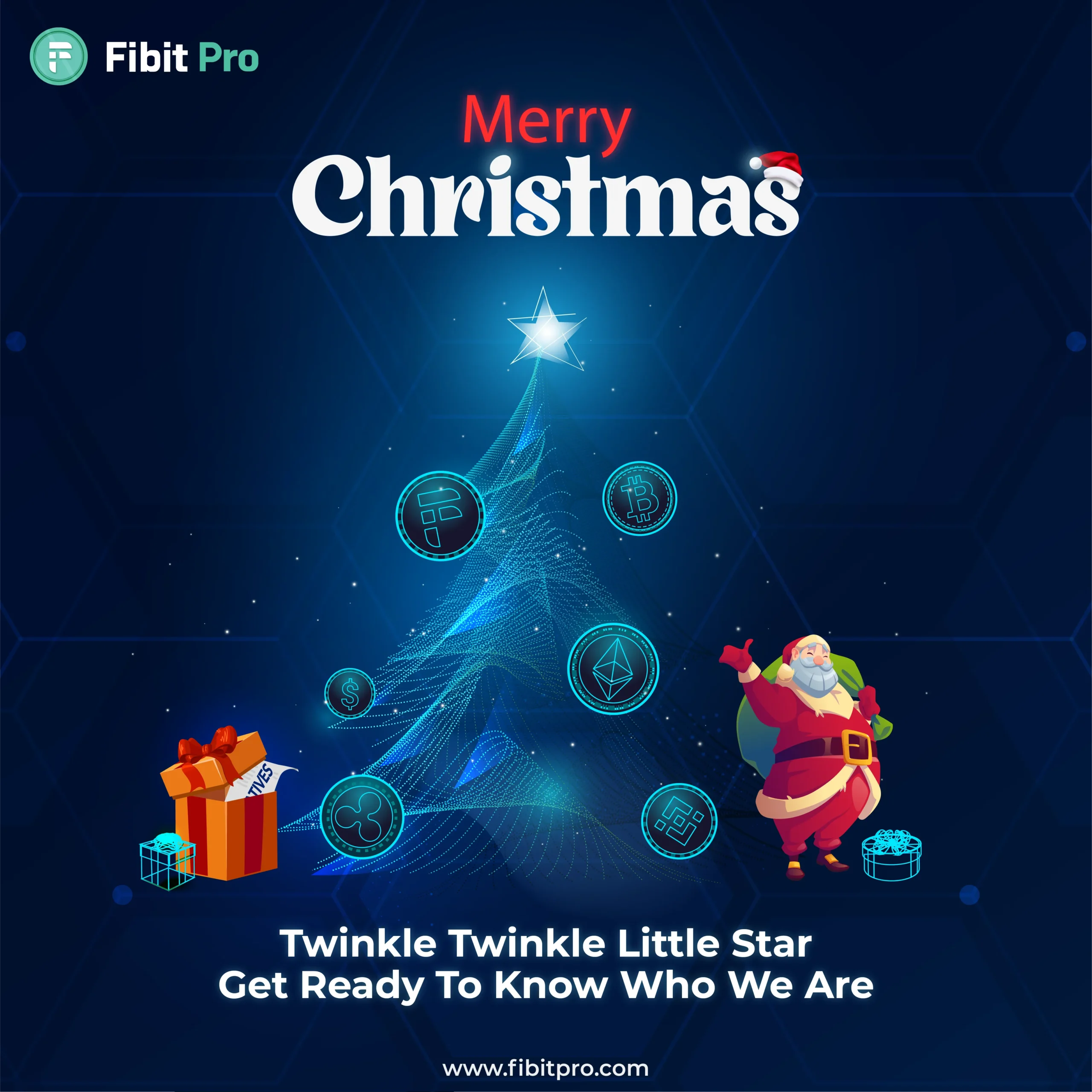 Christmas (Fibitpro)